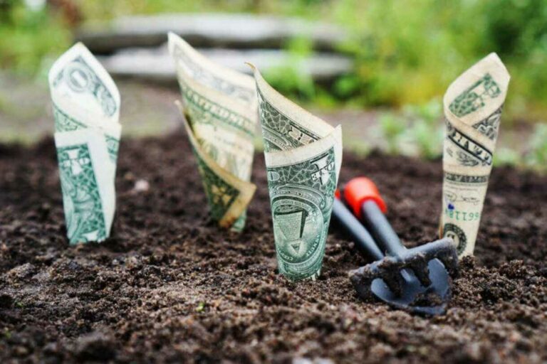 venture capital
